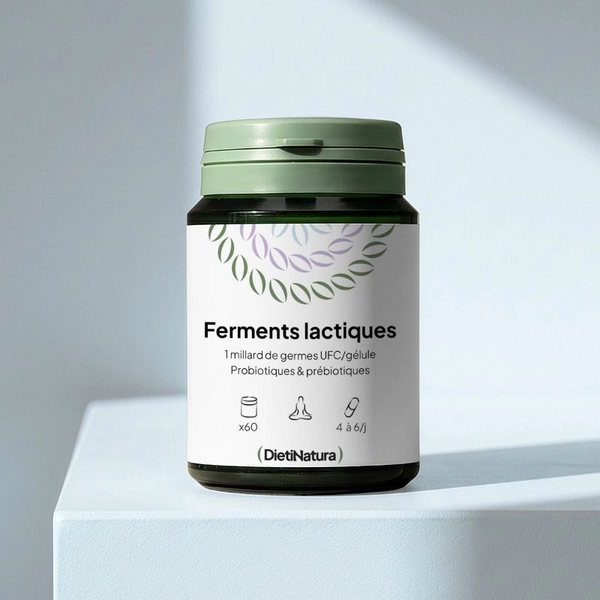 Ferments lactiques