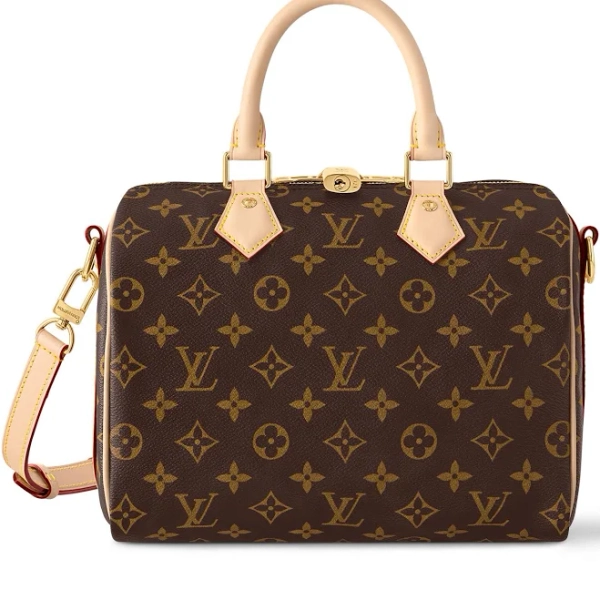 Louis Vuitton Speedy Bandoulière 25
