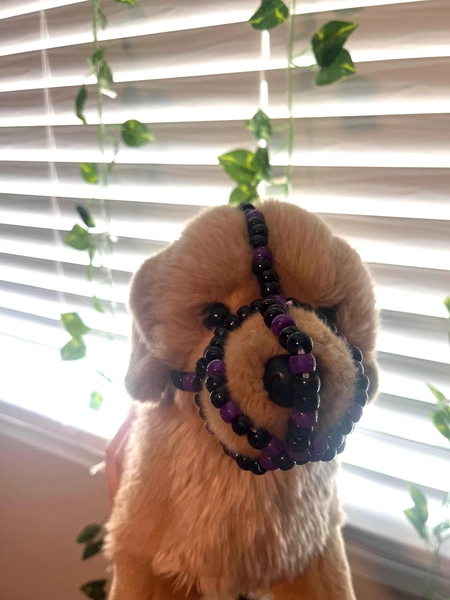 ESSA dog kandi muzzle