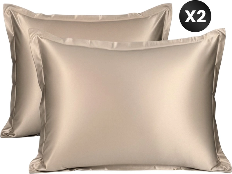 DIVERZA Satijnen Kussenslopen - Set van 2 kussenslopen - Glanzend en Zachte Satijnen Stof - 60x70cm - Champagne Rosé