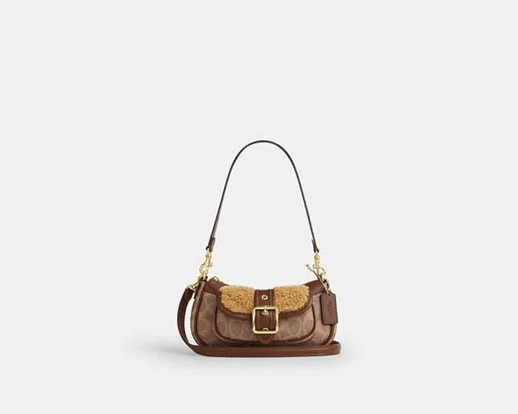 coach mini ashton