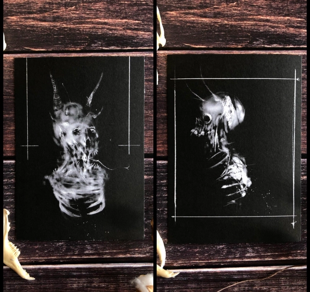 Xray Skeleton Demon Print Bundle- 5x7 Fine art print, Baphomet Poster, witchy wall hanging, satanic decor, Gothic Home