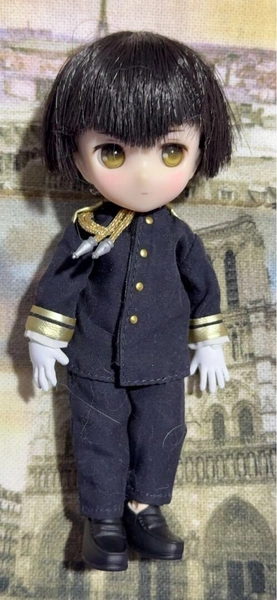 AZONE Hetalia World Stars 002 Japan Doll Figure Dolpokke Series Anime