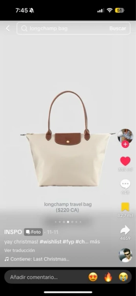 Longchamp bag