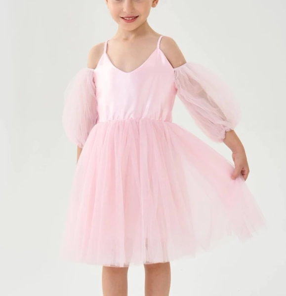 Puff Sheer Sleeve Tulle Girl Dress