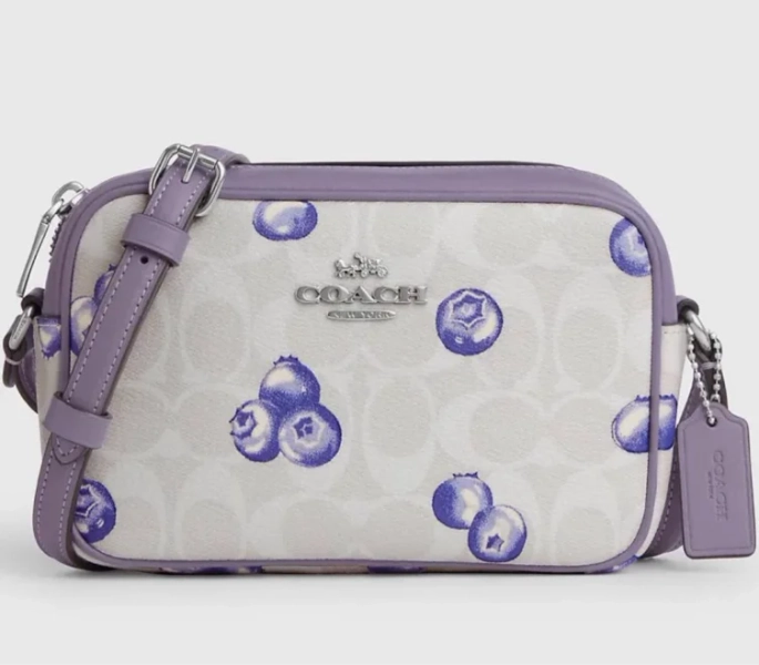 coach blueberry bag - Google Search
