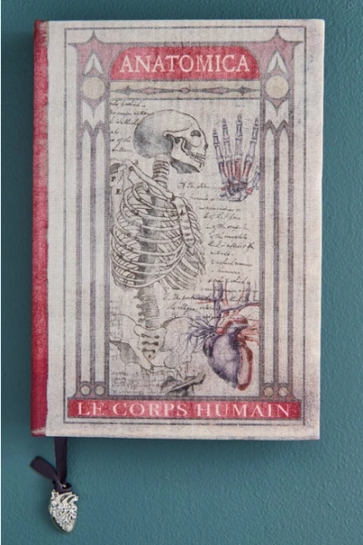 Anatomical Charm Journal