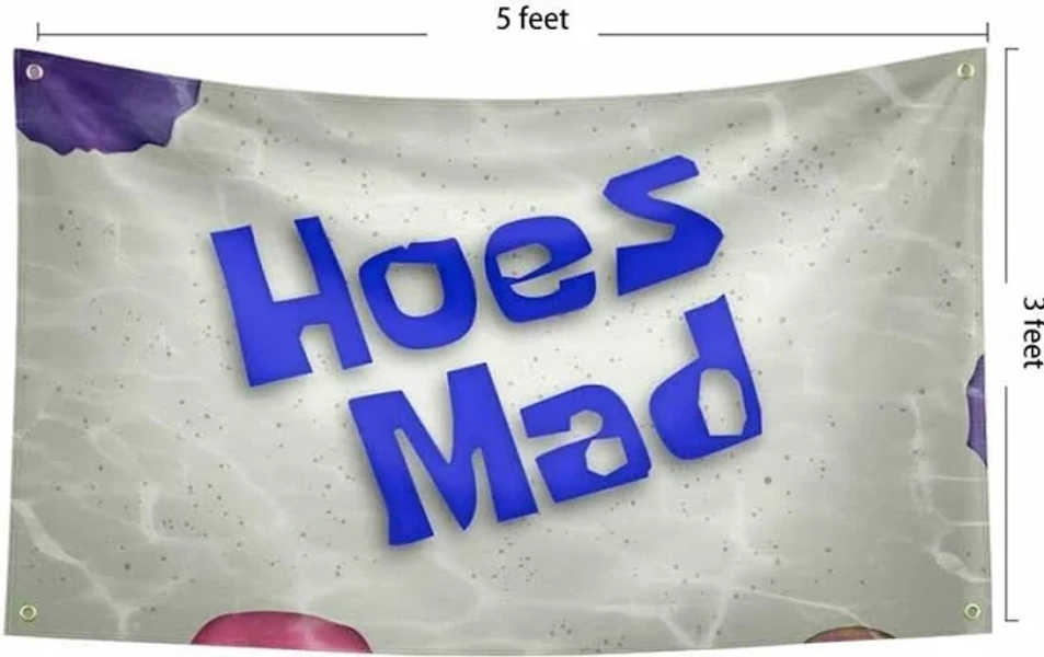 Hoes Mad Banner Flag 3x5 Ft Funny Poster For College Dorm Frat Out