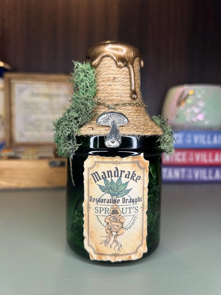 Mandrake Restorative Potion | Potion Bottle | Wizarding World | Bookshelf decor | Halloween decor | Harry