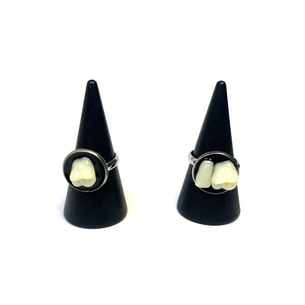 Human teeth Rings (Size: Medium)