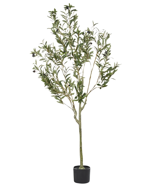 Artificial potted plant, OLIVE TREE, 153cm DEF