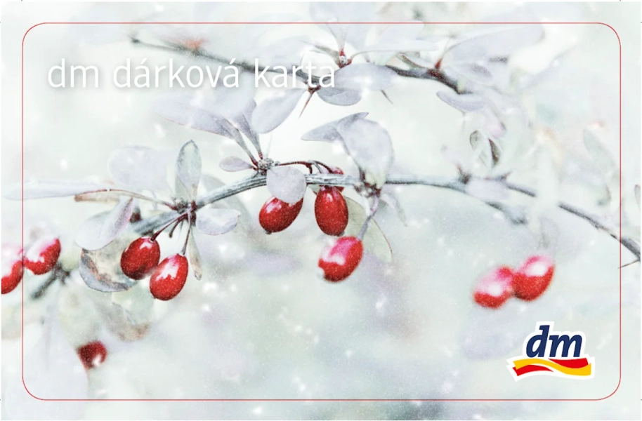 dárková karta v hodnotě 500 Kč, 1 ks
