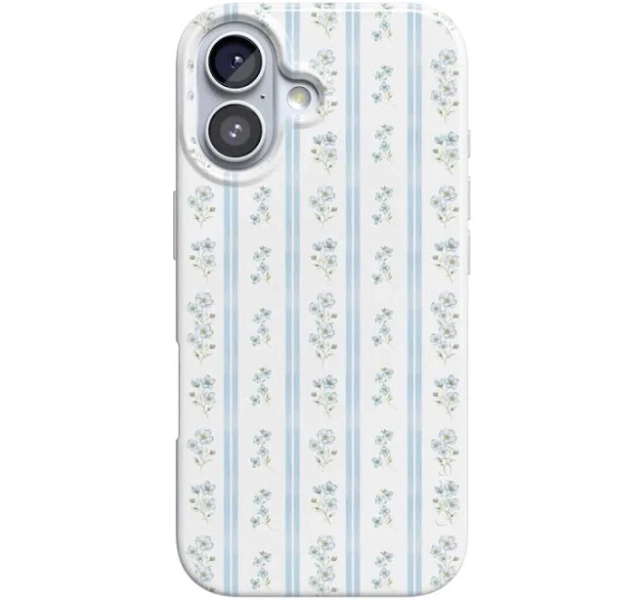 Casely iPhone 17 Compatible with MagSafe Cottage Stripe Blue Floral Case