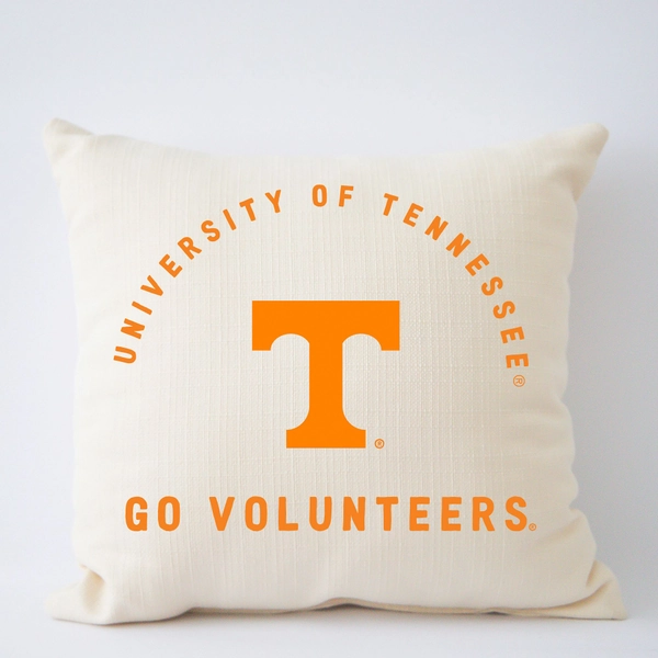 College Filled Pillow