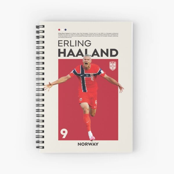 Erling Haaland Journal