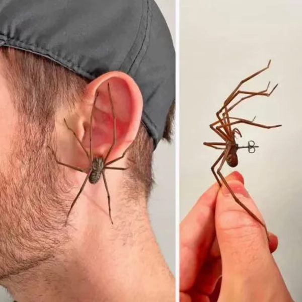 1PCS Giant Spider Earrings Personality Alternative Spider Earstuds Exaggerate Accessories For Spider Lover And Goth Gift - AliExpress 