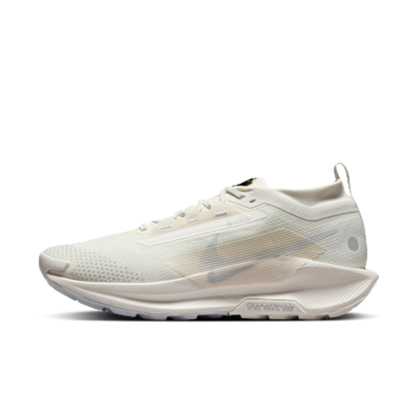 Nike Pegasus Trail 5 GORE-TEX Men's Waterproof Trail Running Shoes