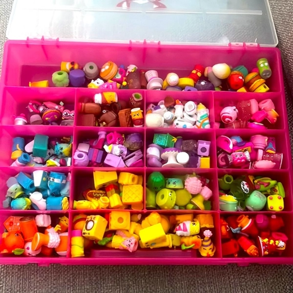 whole container of shopkins