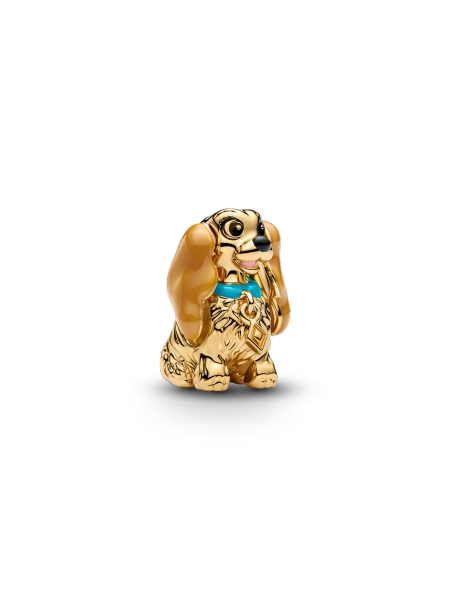 Disney Lady Charm