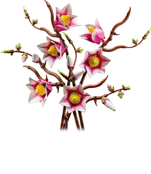 Branches de magnolia