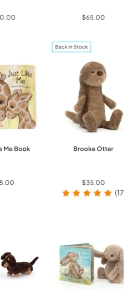 Brooke otter