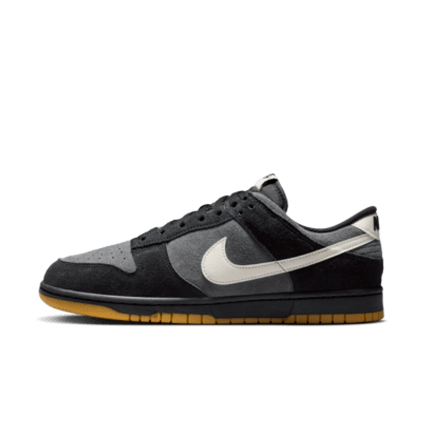Nike Dunk Low Retro SE Men's Shoes