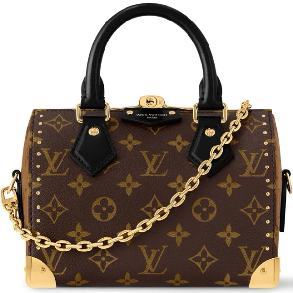 Louis Vuitton Speedy Trunk 20