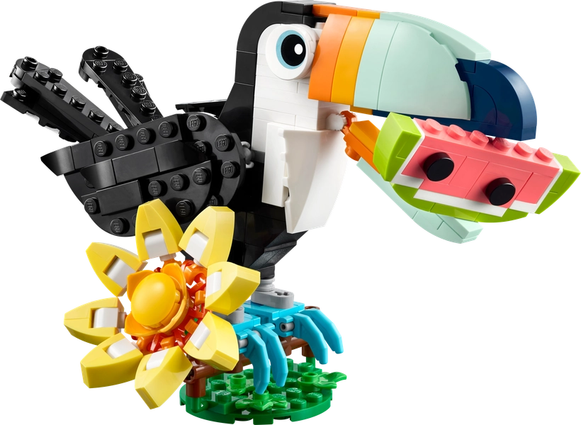 Wild Animals: Tropical Toucan