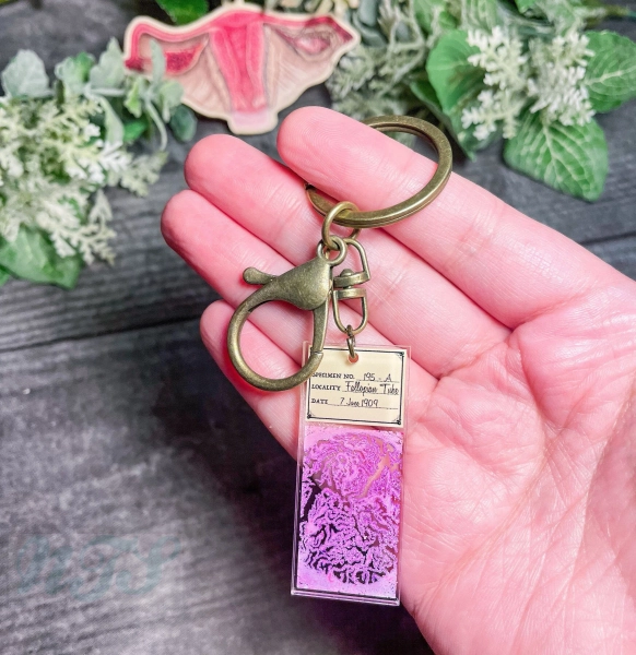 Fallopian Tube Clear Acrylic Printed Histology Keychain - 2"
