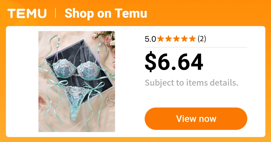 2pcs   sheer womens   set floral embroidered mesh - Temu