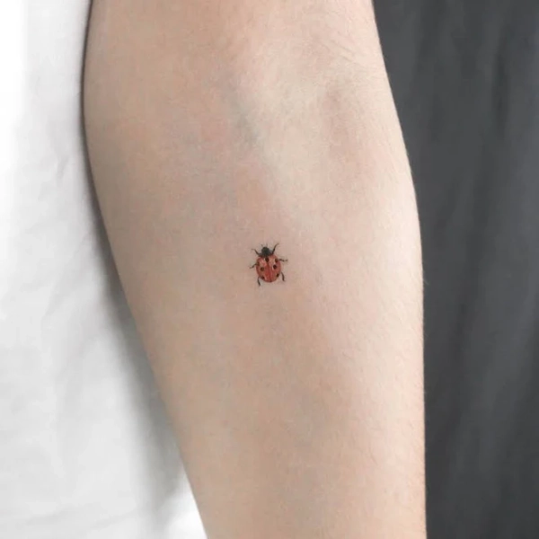 Ladybird Temporary Tattoo (Set of 3)