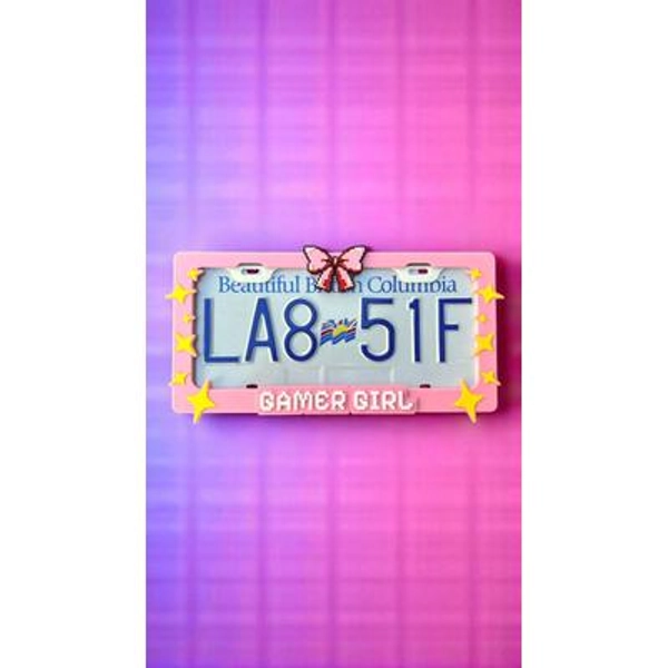Gamer Girl License Plate Frame: 3D Printed 8-Bit Pixel Car Accessory
