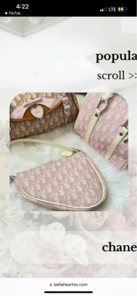 Small pink Dior bag 