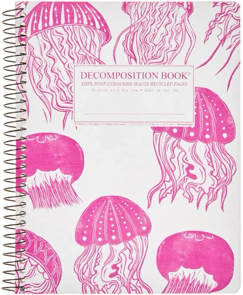 Decomposition Jellyfish Notebook