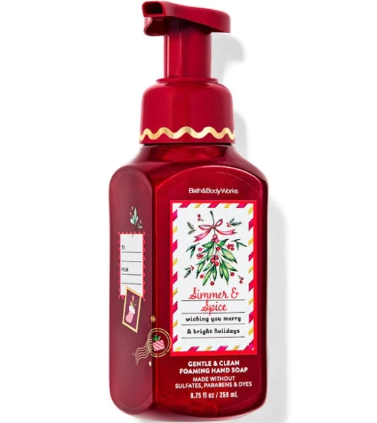 Bath & Body Works Simmer & Spice Gentle & Clean Foaming Hand Soap