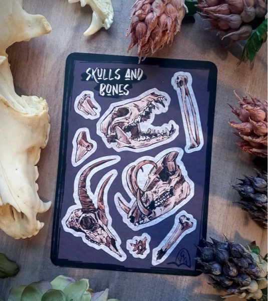 Skulls and Bones Sticker Sheet
