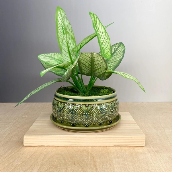 5" Ceramic Planter – Planter with Attached Bottom -  Heart Design - Slip Trailed Pottery