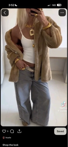 fur coat 