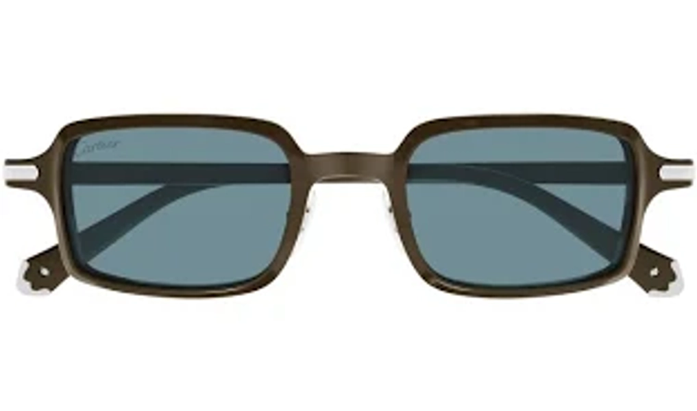 Cartier Ct0539s