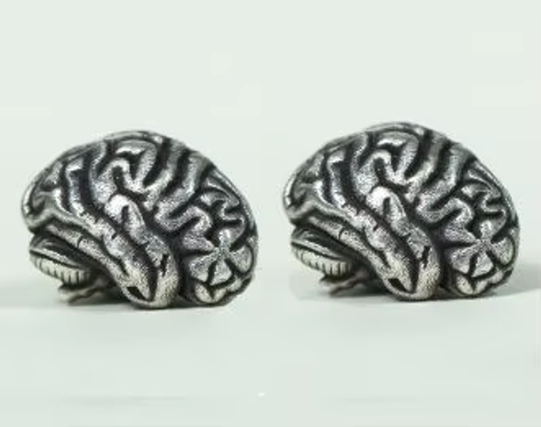 Anatomical Brain Stud Goth Dissection Oddities Artery Medical Earring Doctor Anatomy Jewelry Ear Occult Halloween Gothic Jewelry - AliExpress 