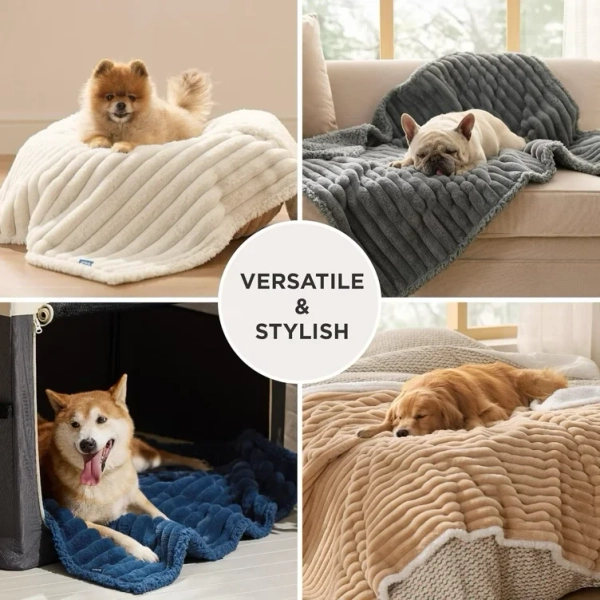 Couch cover for pets