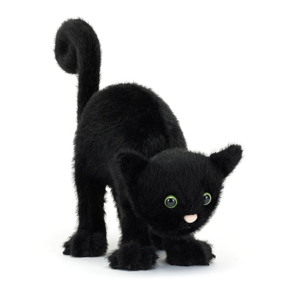 Spookipaws Cat