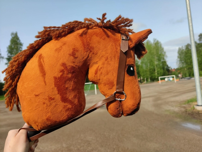Small Chestnut Hobbyhorse