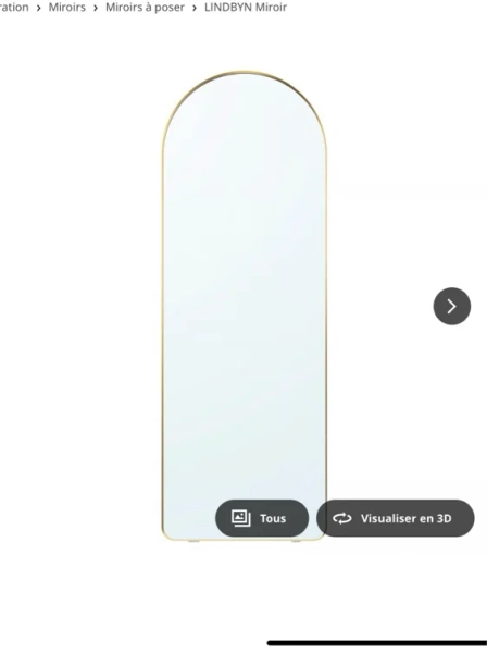 LINDBYN Miroir - couleur or 60x170 cm