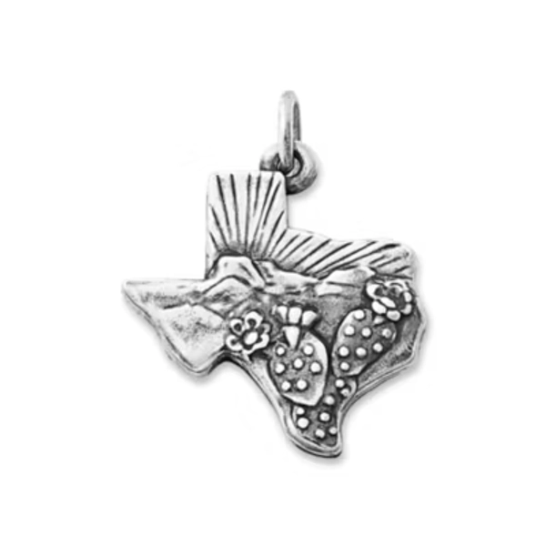 Texas Landscape Charm