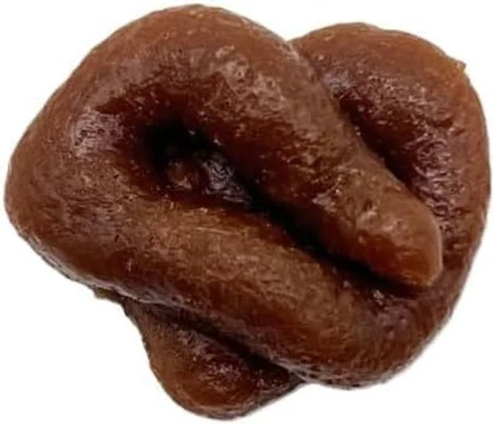 Simulation Poop Toy Realistic and Funny Poop Toy Poop Prank Gift Soft Poop Toy