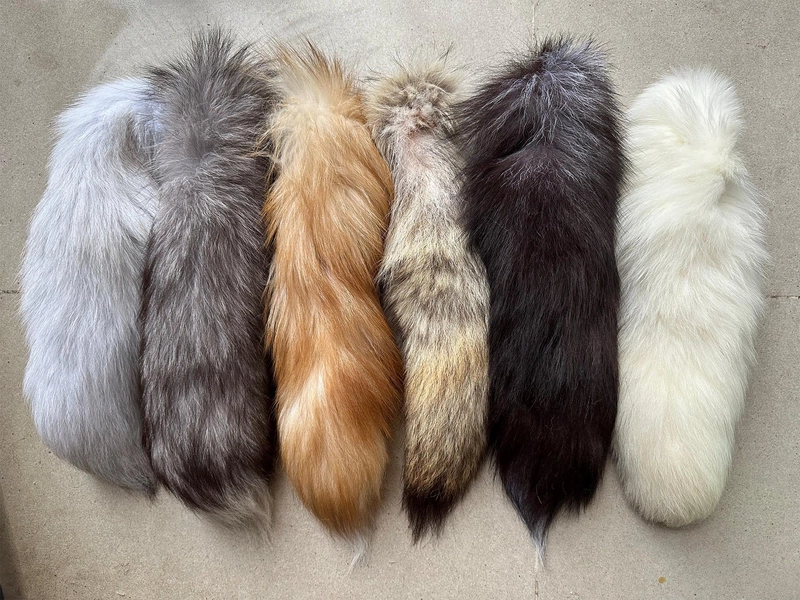 Real Foxtail or Coyote Tail: Soft Fur, 14-16" - Costume or Craft