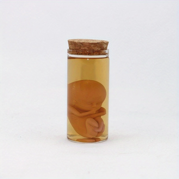 Realistic Baby Embryo Glass Jar Specimen Display - Faux Human Figure Home Decor, No Liquid Included, Indoor Living Room Ornament, Educational & Decorative Piece, Embryo Display, Natural Appearance, Detailed Craftsmanship