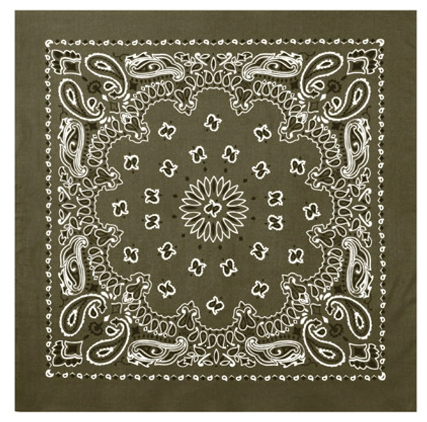 Rothco Large Trainmen Paisley Bandana