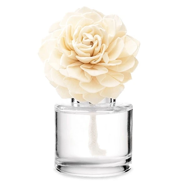 Clothesline - Dahlia Darling Fragrance Flower